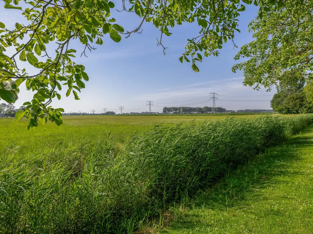 Bruijkersstraat 42, VIERPOLDERS