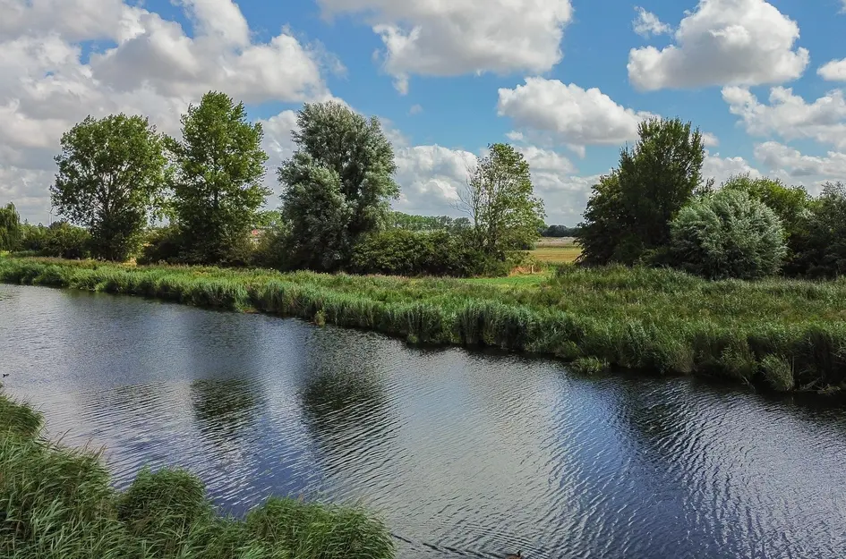 Ruiter 10