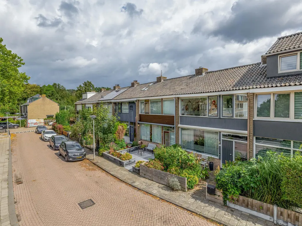 Paulus Potterstraat 16, SPIJKENISSE