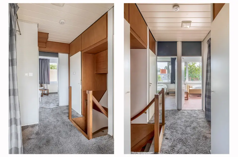 Andoorn 5