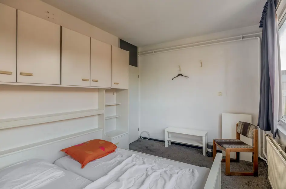 Andoorn 5