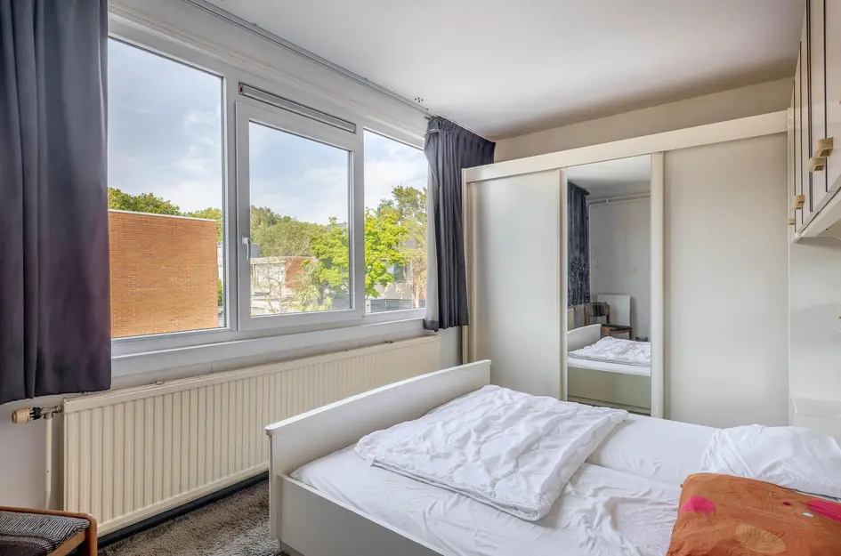 Andoorn 5