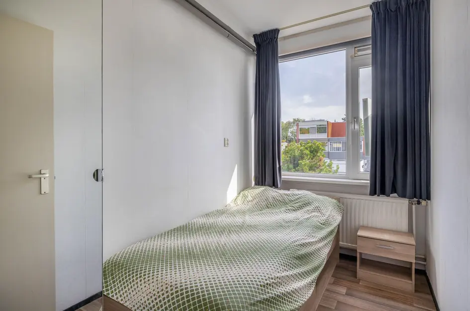 Andoorn 5