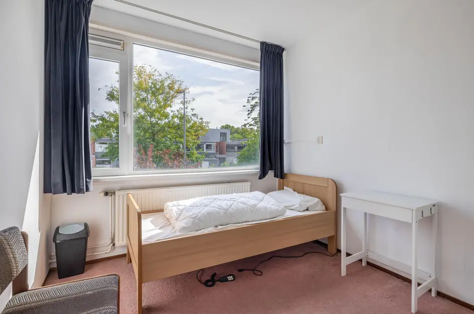 Andoorn 5