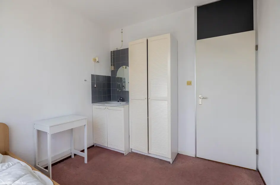 Andoorn 5