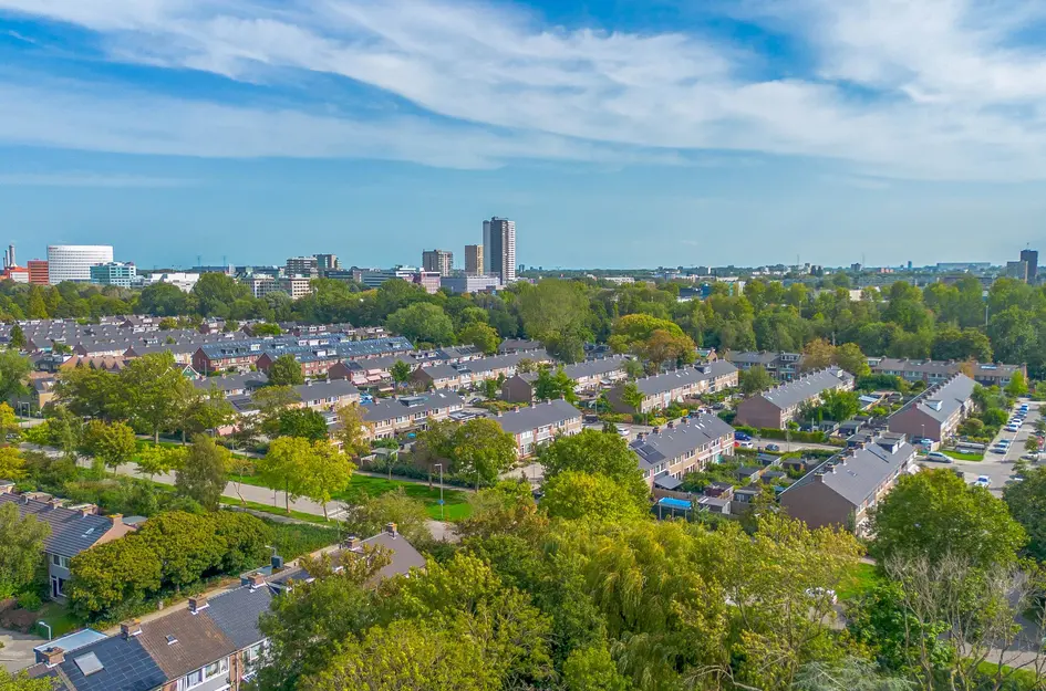 Andoorn 5