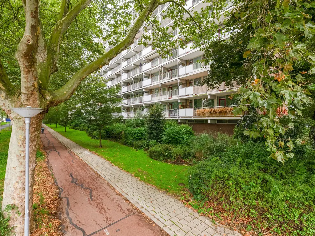 Zernikeplaats 124, Rotterdam