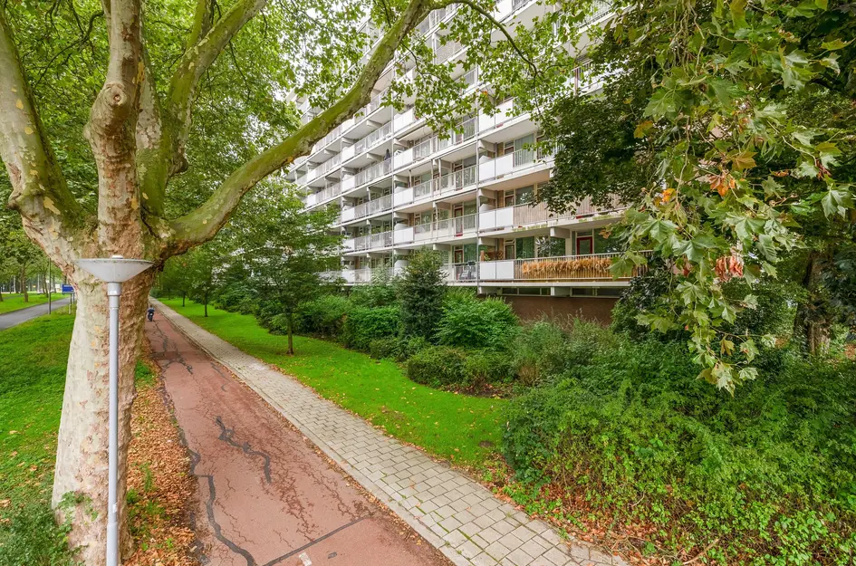Zernikeplaats 124