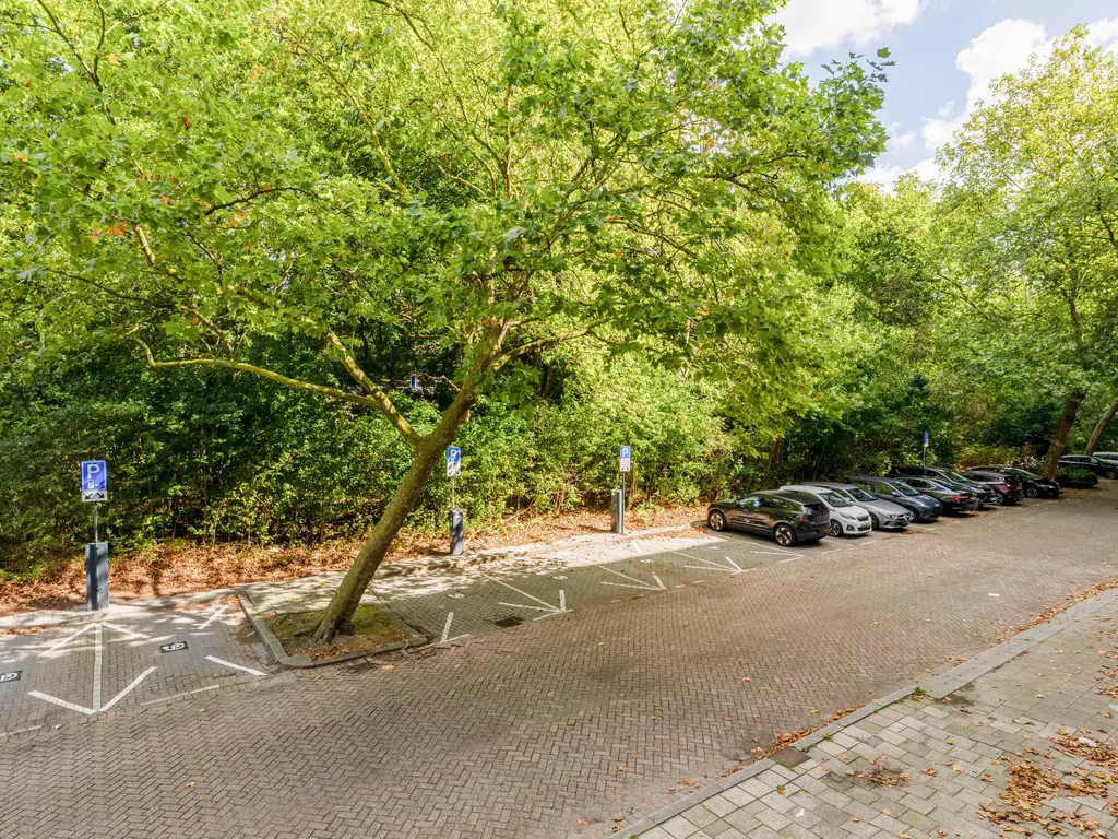 Curieplaats 43, ROTTERDAM