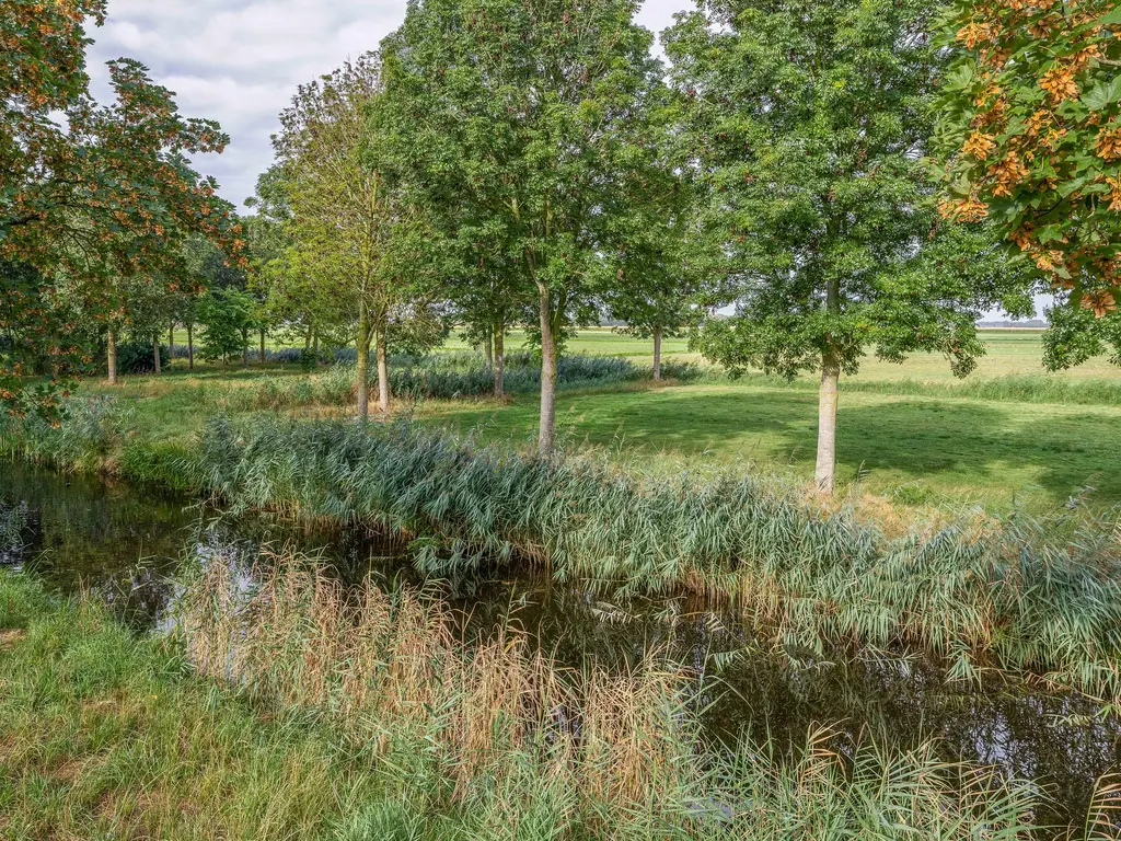 van der Doeslaan 17, MAASDAM