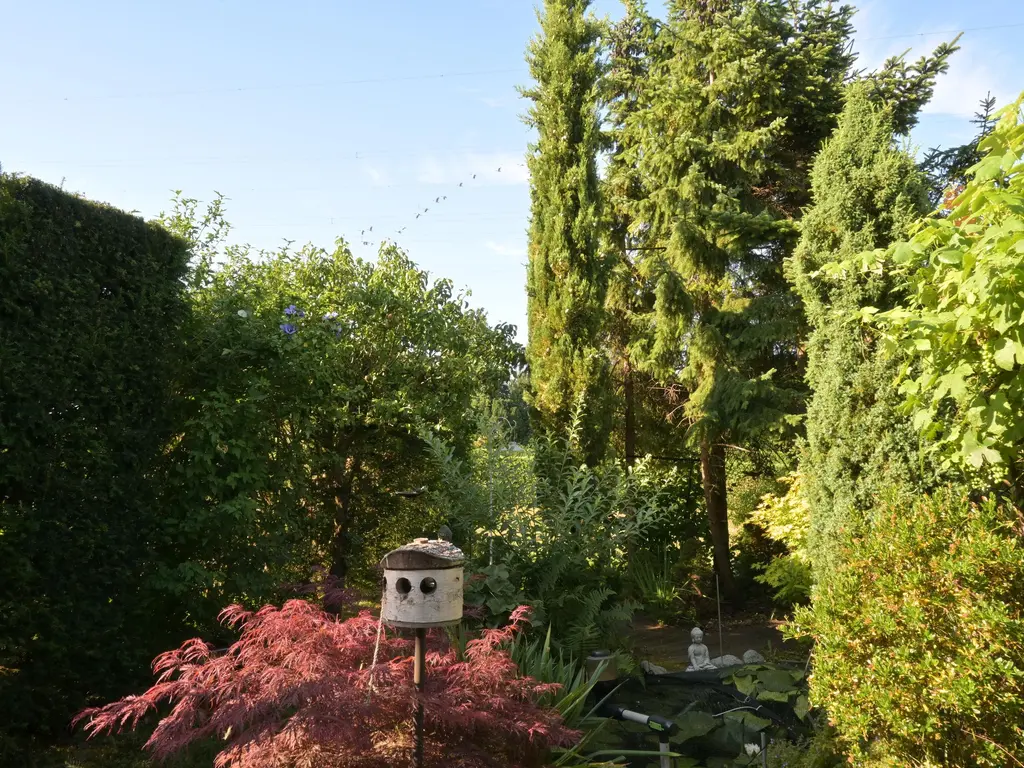 Deel 39, BRIELLE