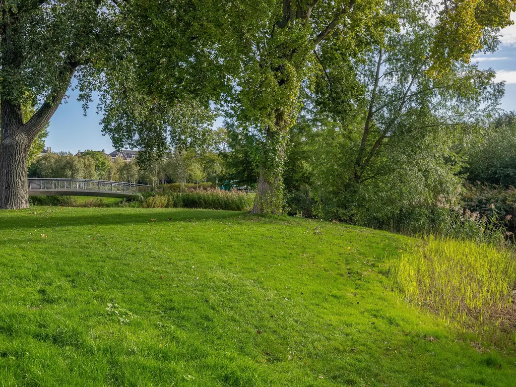 Plantageweg 37A, Rotterdam