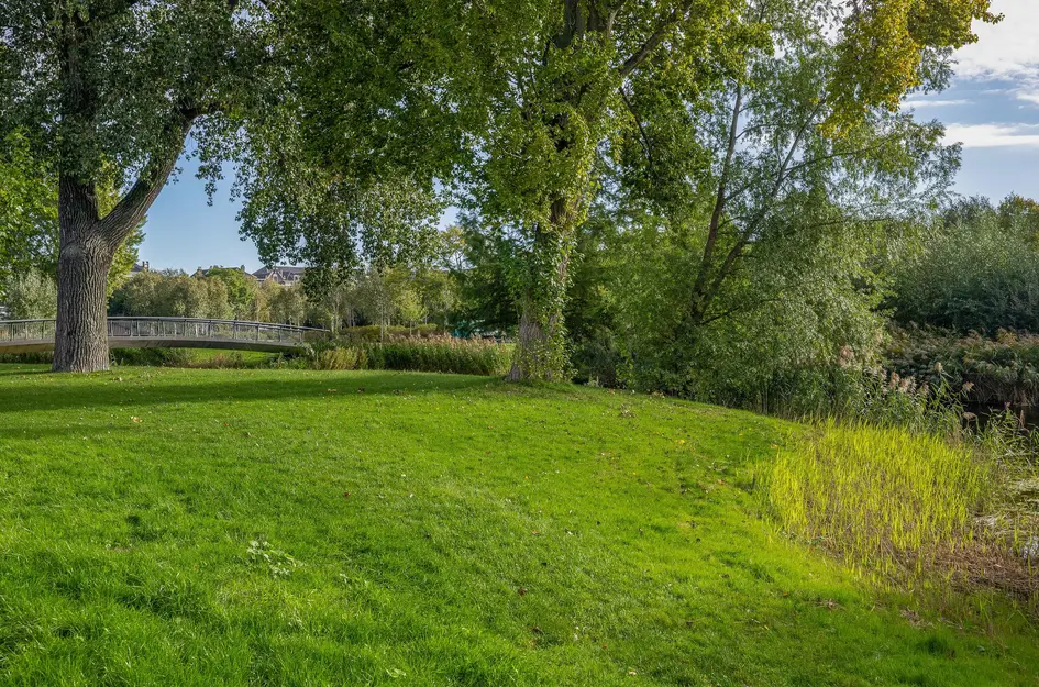 Plantageweg 37A