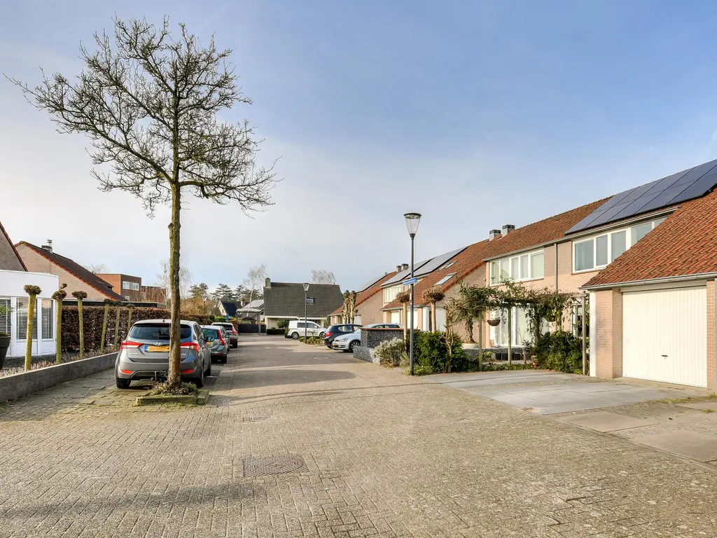 Hooivorkstraat 39, OOSTERHOUT