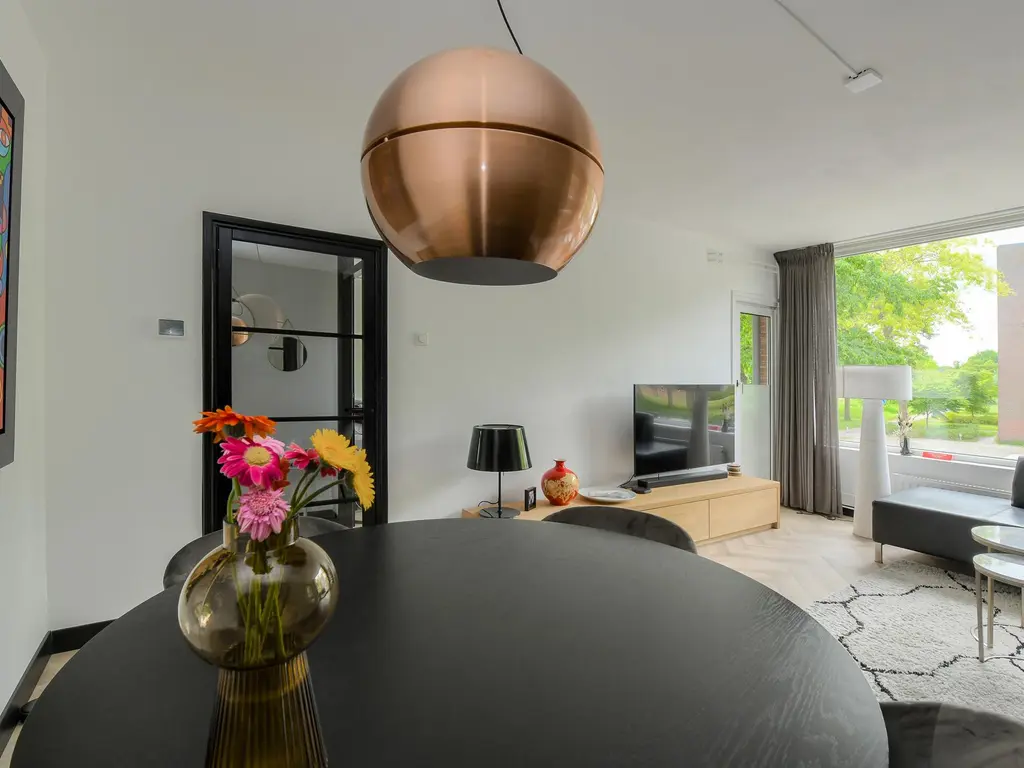 Drossaardstraat 65, OOSTERHOUT