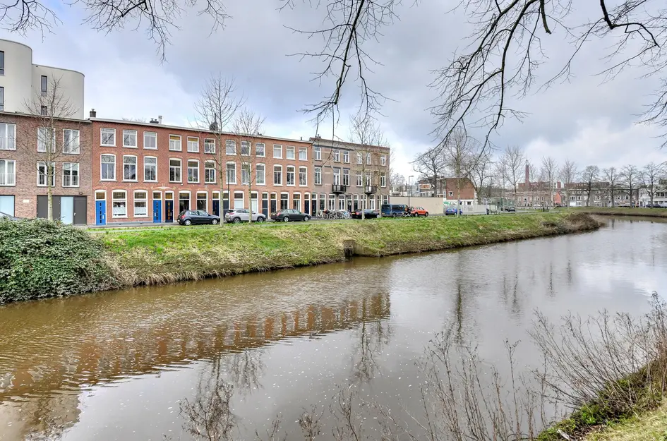 Nassausingel 23