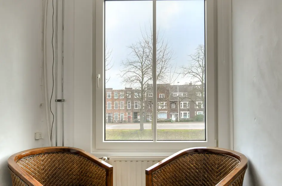 Nassausingel 23