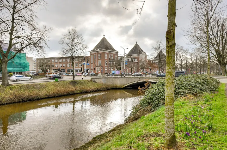 Nassausingel 23