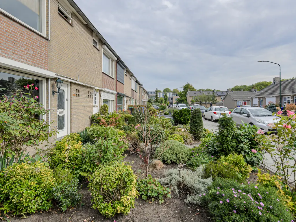 Lavendelstraat 20, RAAMSDONKSVEER