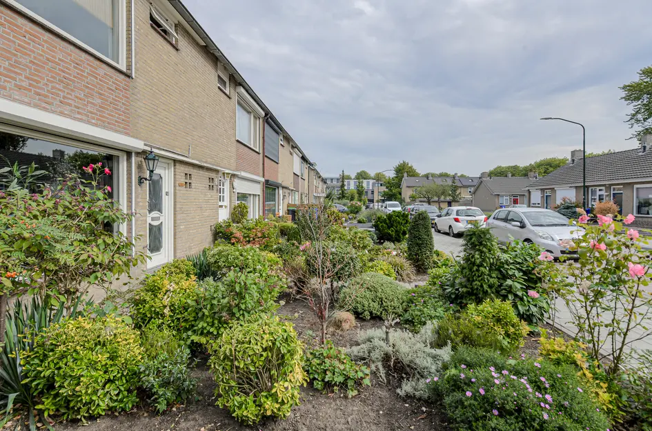 Lavendelstraat 20