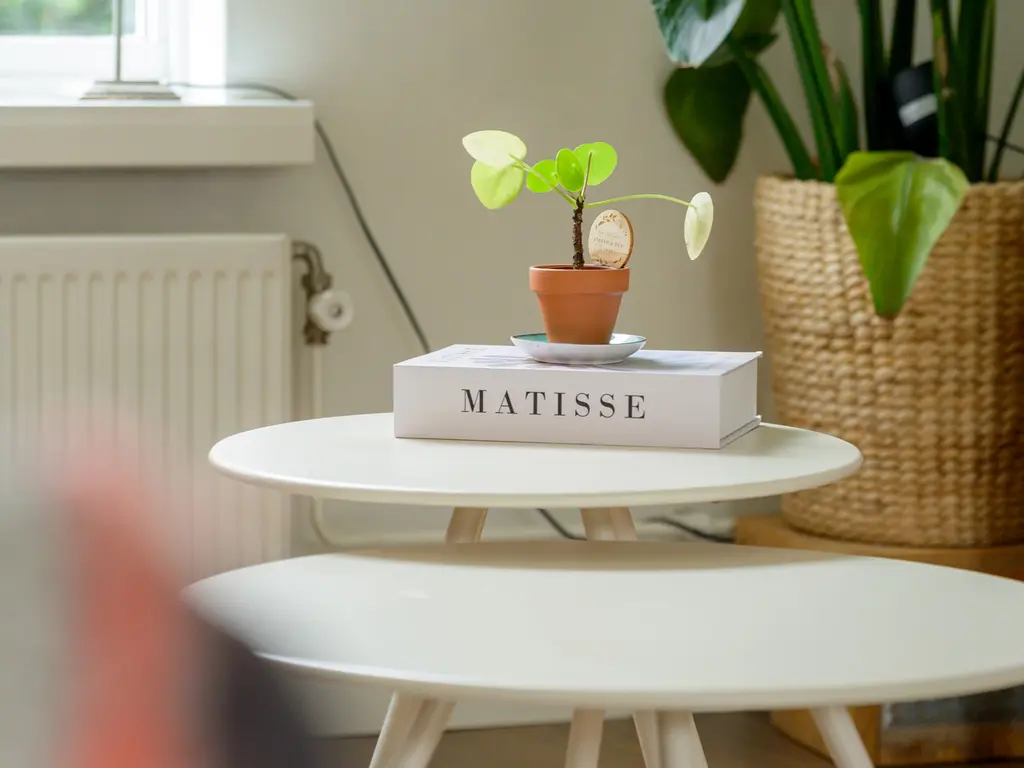 Curaçaostraat 30, BREDA