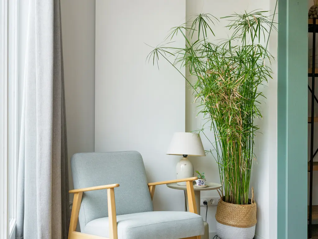 Curaçaostraat 30, BREDA