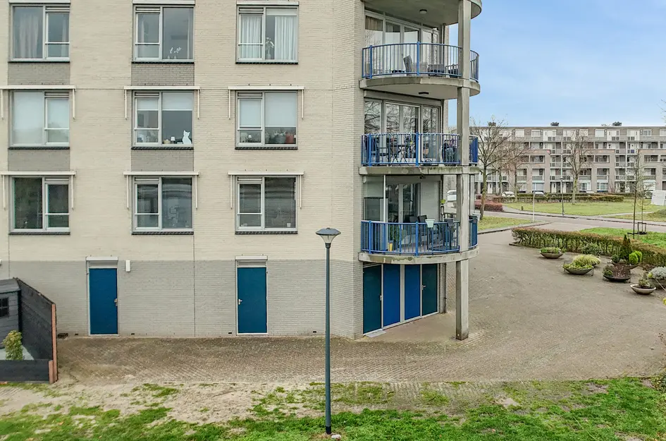 Houtwolplantsoen 258