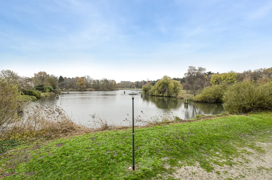 Houtwolplantsoen 258