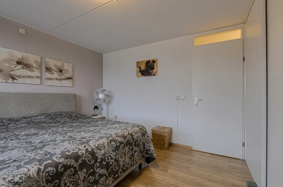 Houtwolplantsoen 258