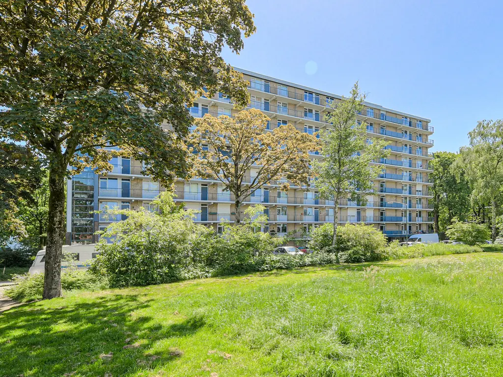 Boerhaavelaan 175, OOSTERHOUT