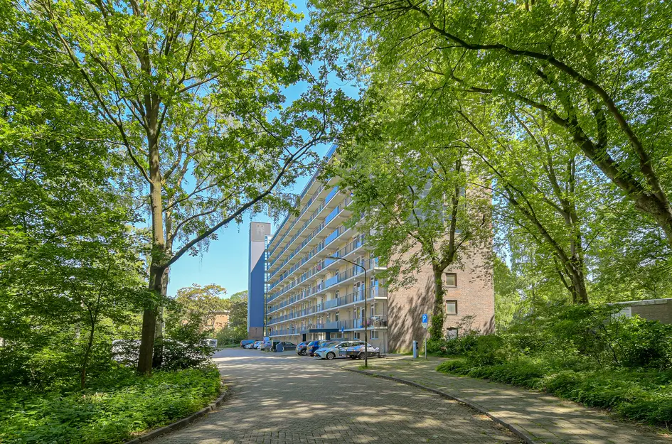Boerhaavelaan 175