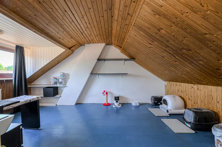 Graaf Albrechtstraat 13