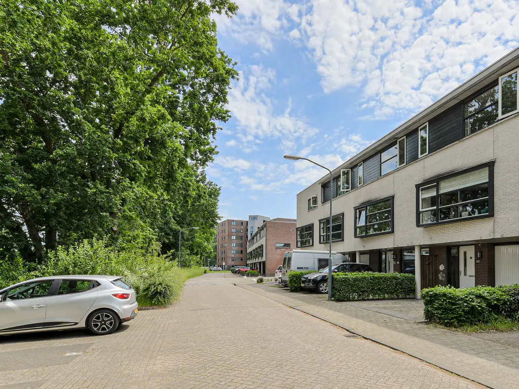 Merijntje Gijzenstraat 80, OOSTERHOUT