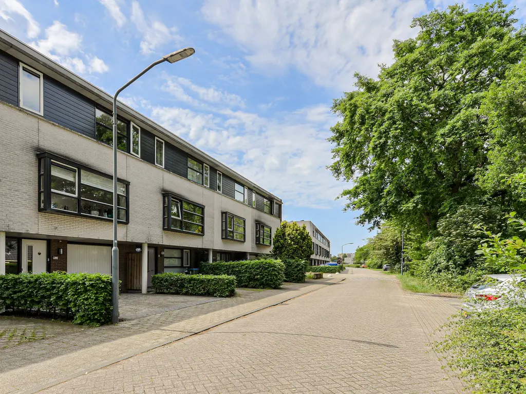 Merijntje Gijzenstraat 80, OOSTERHOUT