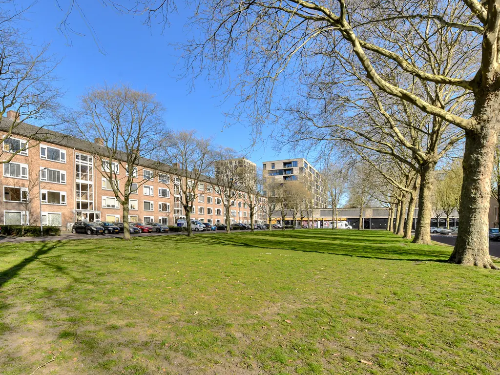 Planciusplein 6C, Breda