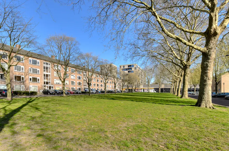 Planciusplein 6C