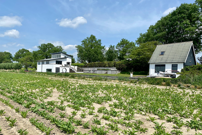 Schenkeldijk 19, Klaaswaal