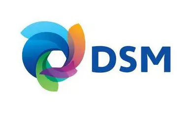 DSM