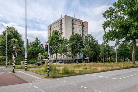 Pisanostraat 72, Eindhoven - foto 0