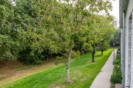 Hoog Koolmond 6, Oirschot - foto 32