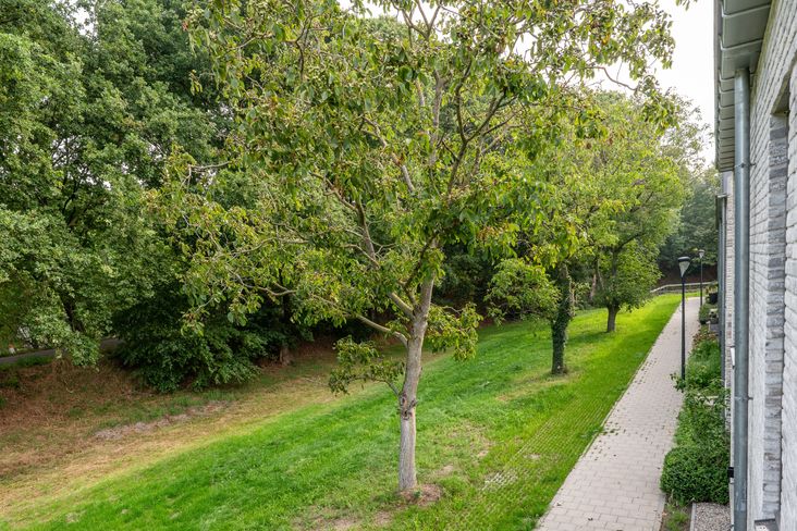 Hoog Koolmond 6, Oirschot - foto 33