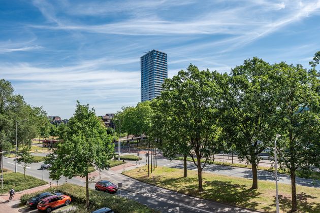 Veldmaarschalk Montgomerylaan 21, Eindhoven - foto 3