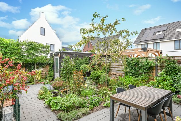 Oeverlibel 4, Son en Breugel - foto 26