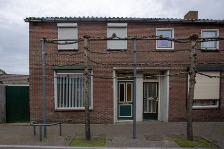 Torenstraat 1, Son en Breugel - foto 0