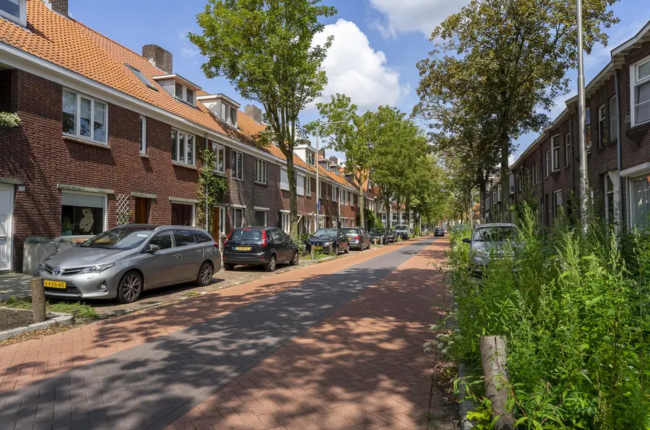 Korenbloemstraat 161