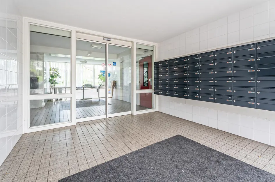 Cederstraat 55