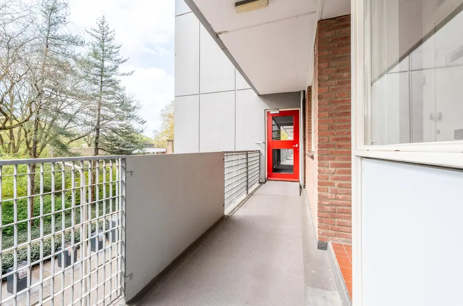 Cederstraat 55
