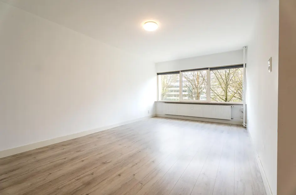Cederstraat 55