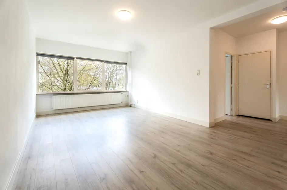 Cederstraat 55