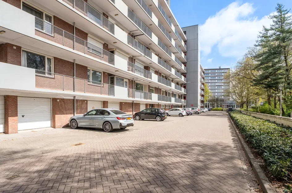 Cederstraat 55